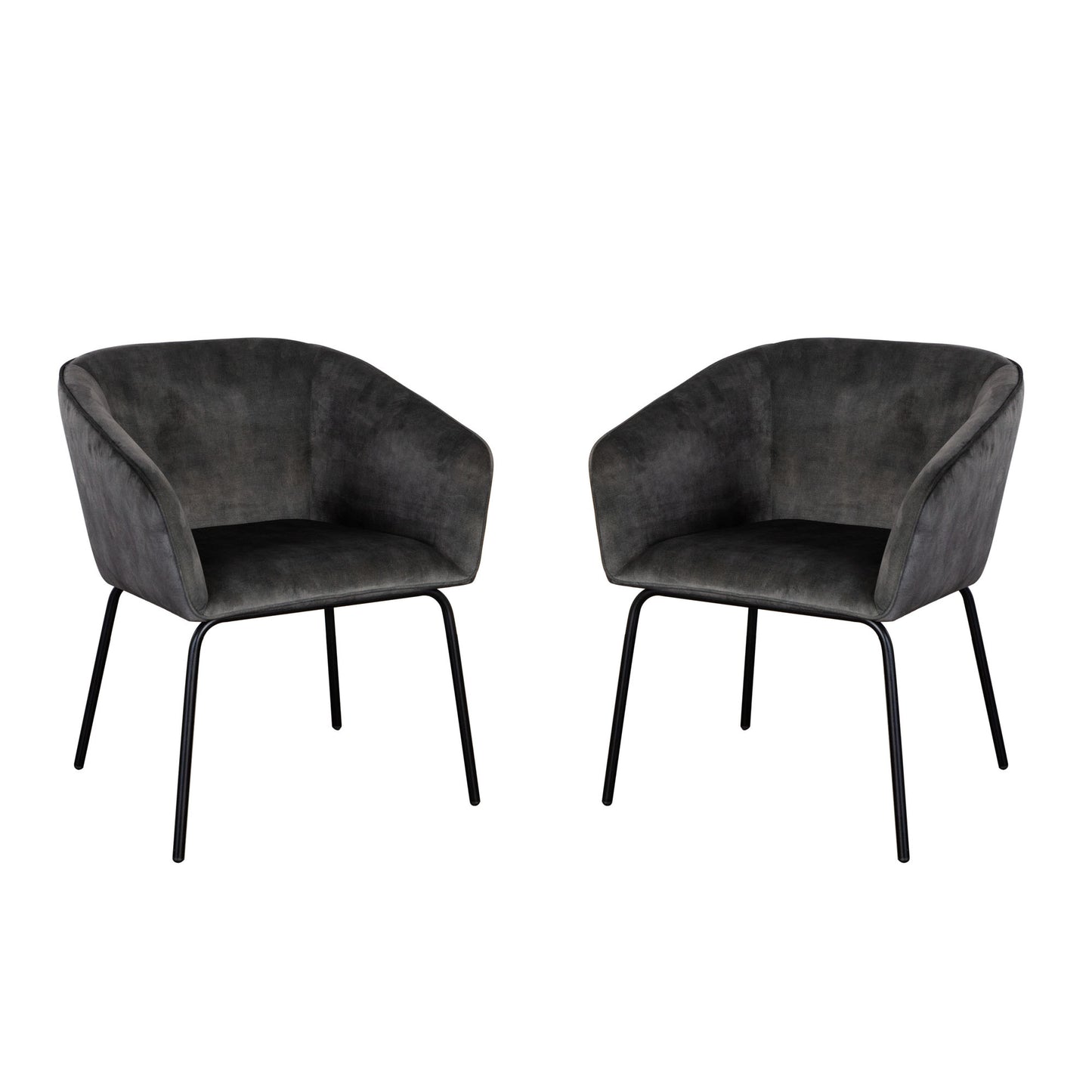 Avery Dining Chair