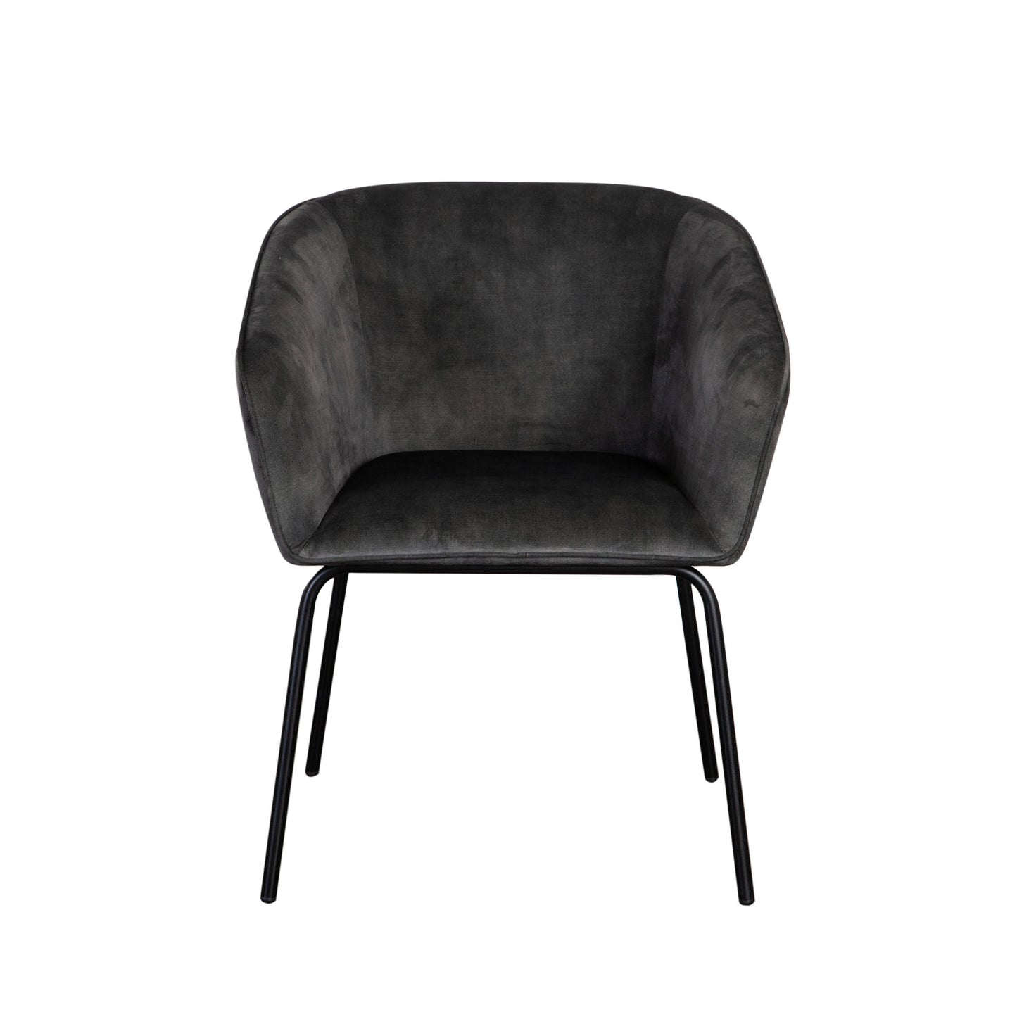 Avery Dining Chair