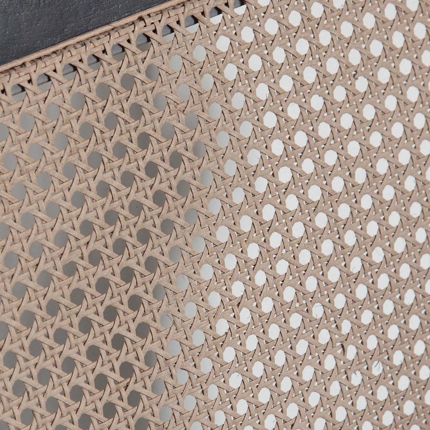 Carter Dining Chair
