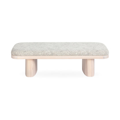 Ollie Upholstered Bench - TOV-OC69456