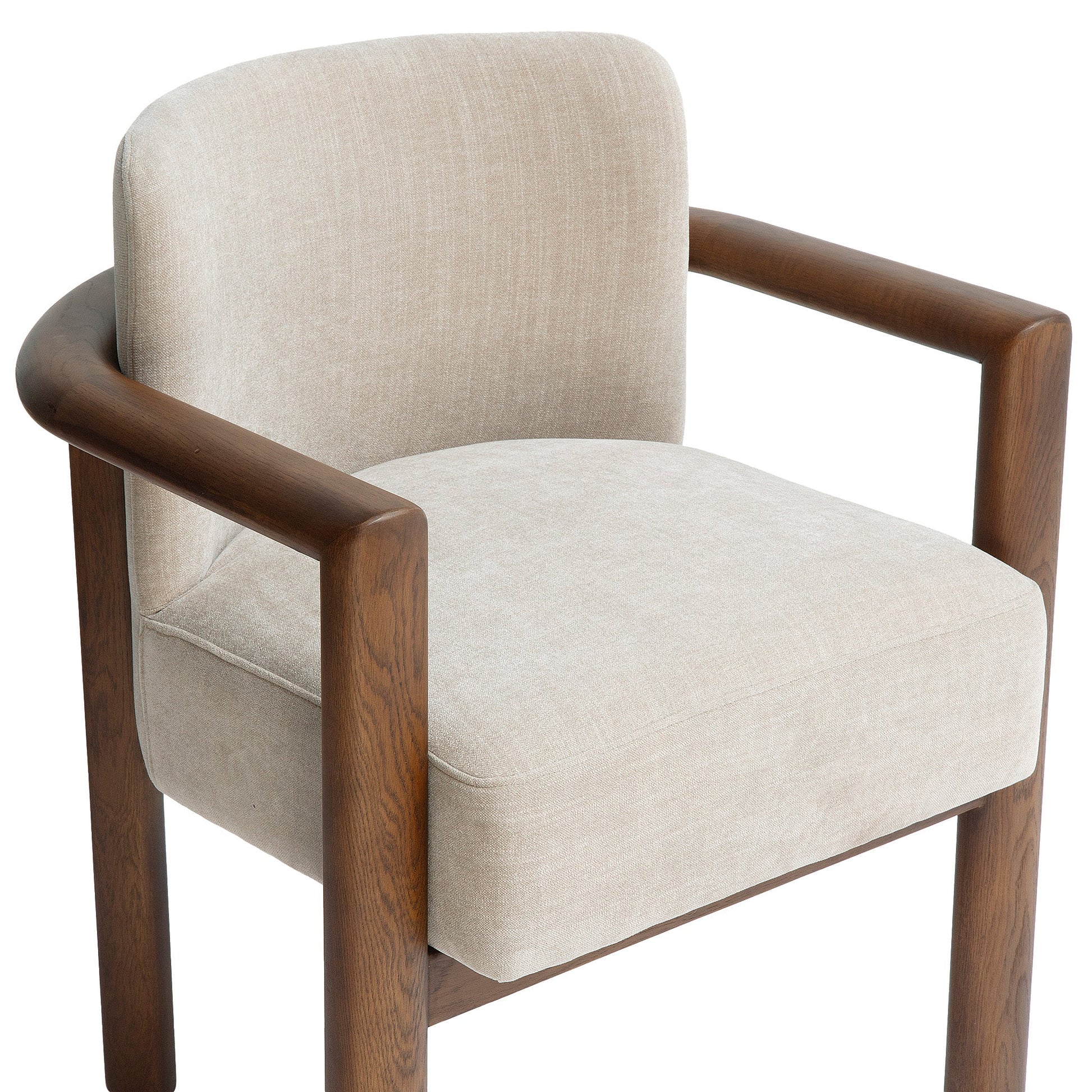 Irma Textured Performance Velvet Dining Chair - TOV-D69411