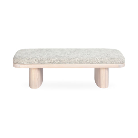 Ollie Upholstered Bench - TOV-OC69456